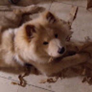 Meet your Posher, Deanne